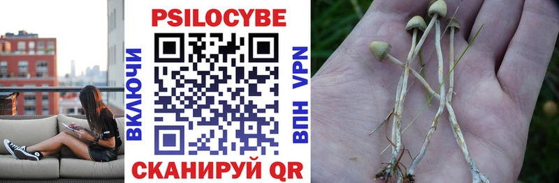 Псилоцибиновые грибы ЛСД Белый