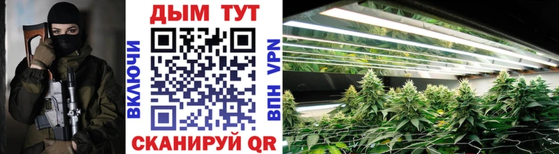 Бошки Шишки планчик  где продают наркотики  Белый 
